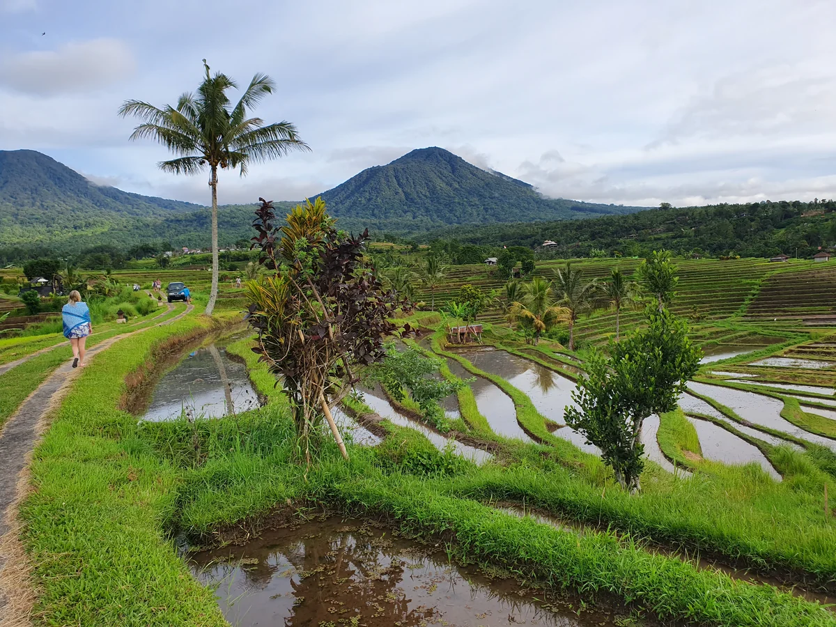 Destinations - Romi & Duo